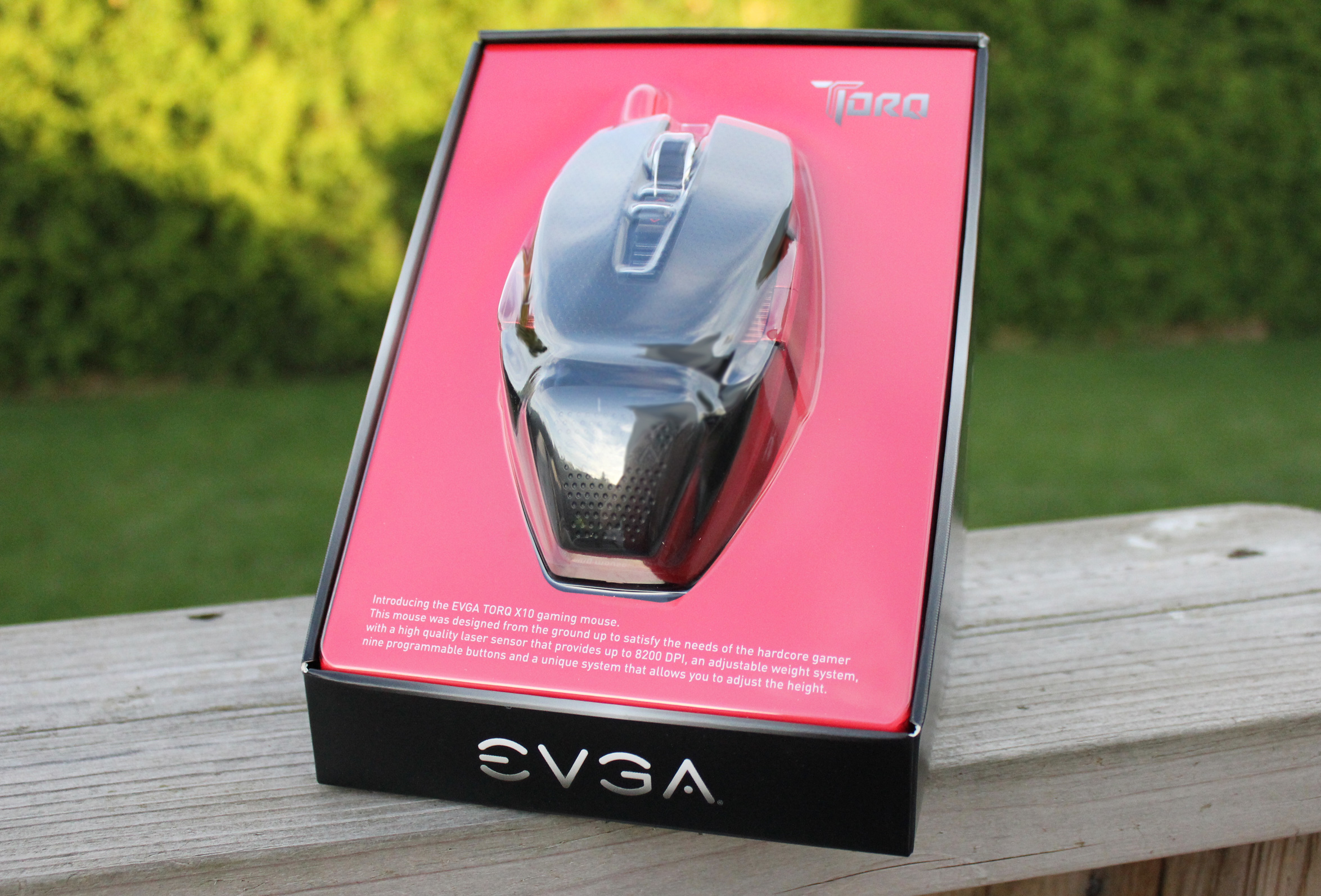 Just Delivered: EVGA Torq X10 Gaming Mouse